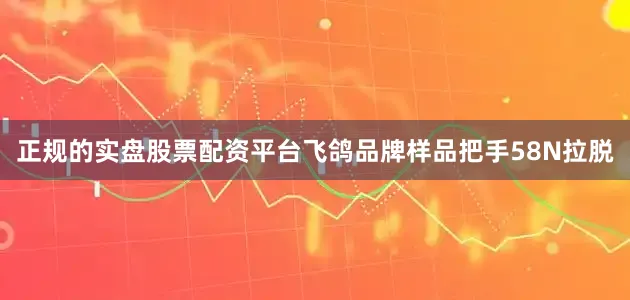 正规的实盘股票配资平台飞鸽品牌样品把手58N拉脱