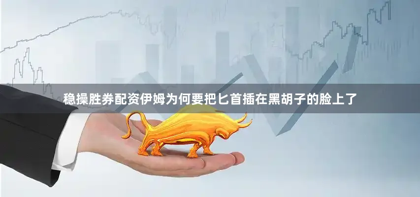 稳操胜券配资伊姆为何要把匕首插在黑胡子的脸上了
